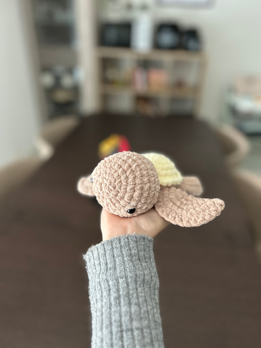 Tortue - Small
